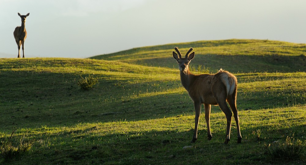 11. Platz Hans Kerler